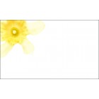 Emblems (Daffodil)